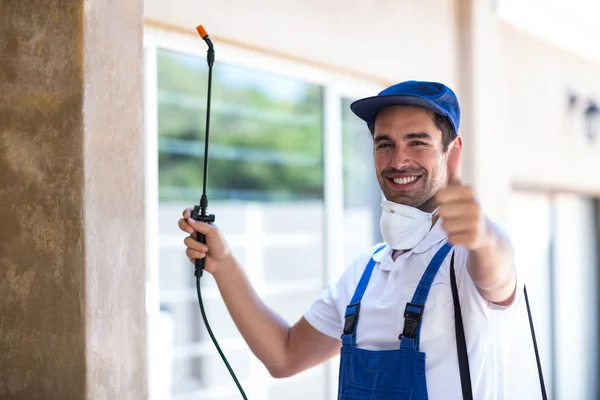 Lorain Wasp Removal