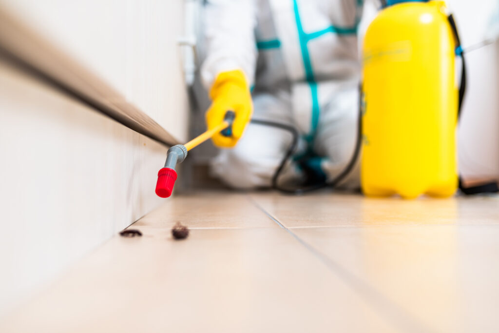 Lorain Cockroach Experts