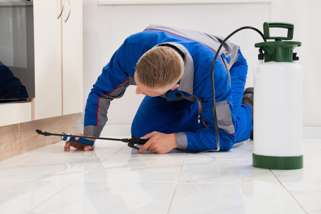 Lorain Ant Control Xperts