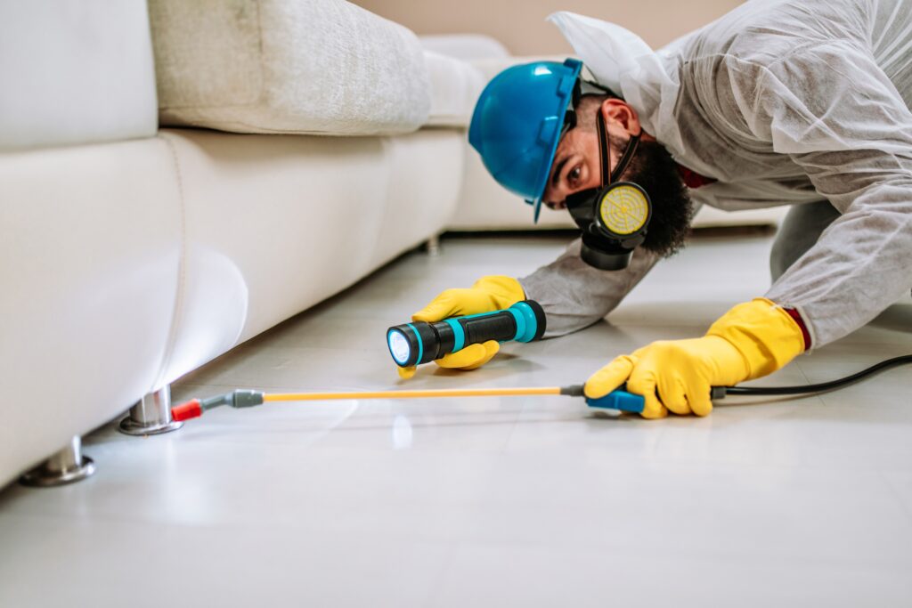Lorain Termite Control