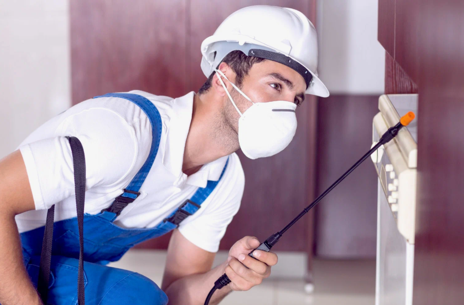 Lorain local pest services