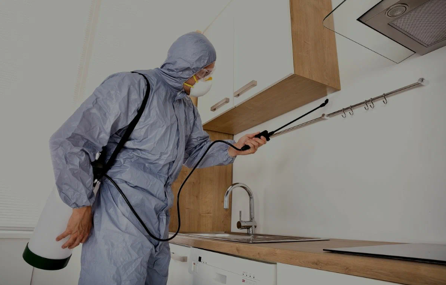 Lorain pest managment