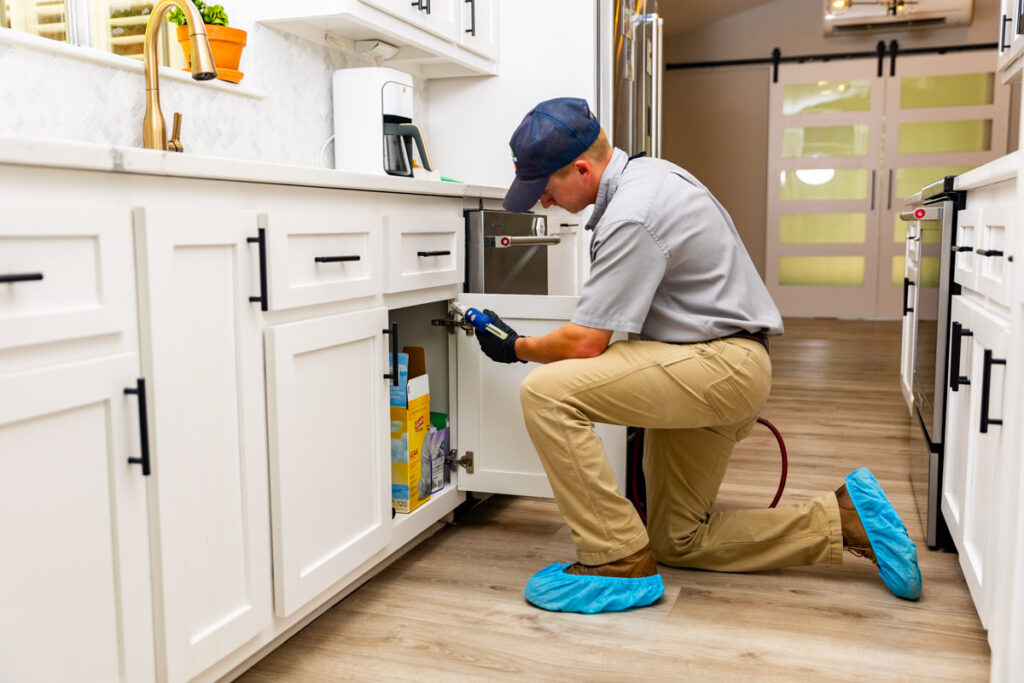 Lorain xpert pest management